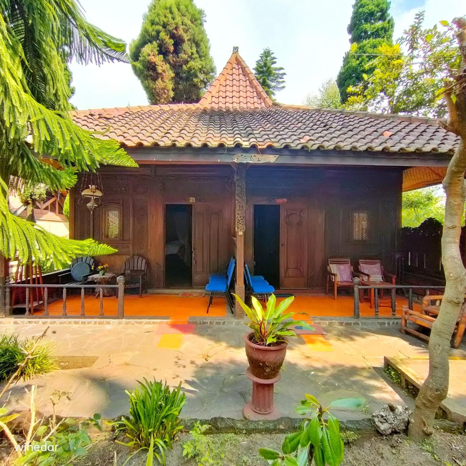 Yoschi'S Hotel Bromo Ngadisari Exterior photo